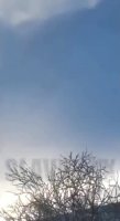 VID_20220225_143108_830.mp4