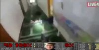 kiwi doom.mp4