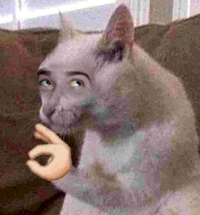 1535383890005-0.jpg