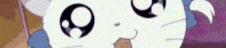 IMG_6747.gif