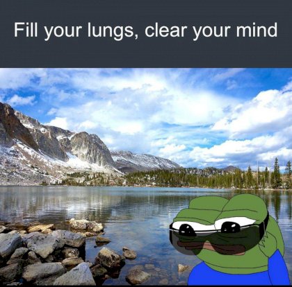 1651484936719.jpg