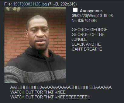 6cqhn9kx8wm51.png
