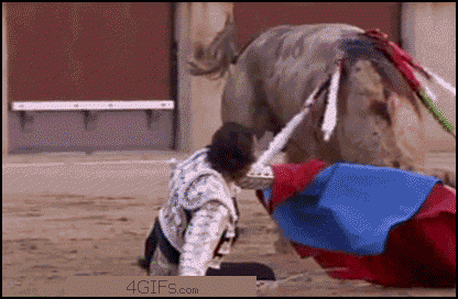 stierkampf durch den unterkiefer.gif