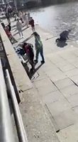 4972203d54692225.mp4