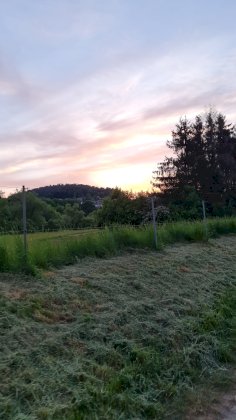 20220512_205441.jpg