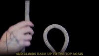 RDT_20230710_024412.mp4