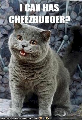c32.jpg