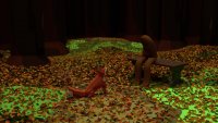 gondofox.webm