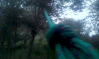 IMG_20201014_194741.jpg