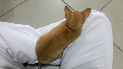 20230105_090848.jpg