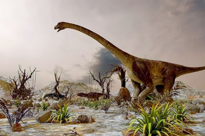 dinofarm-diplodocus-cover.jpg
