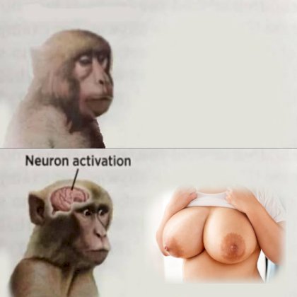 booba neurons.jpg