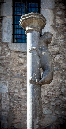 Girona_Lioness.jpg