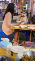 3659bc5ec5a5117a.mp4
