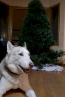 IMG_20201127_202014.jpg