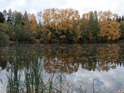 PXL_20210926_125712390.jpg