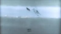 Stalin.mp4