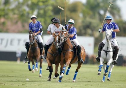 polo.jpeg