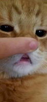 15941522240922.png