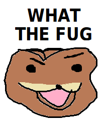 what_the_fug.png