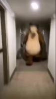 painajainen.mp4
