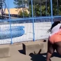 american brawl.mp4