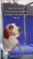 b0da5e8b03112ee4-vp9.mp4