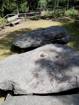 20220717_122330.jpg