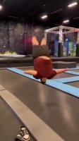 1680813554261.webm