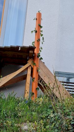 20210326_170606.jpg