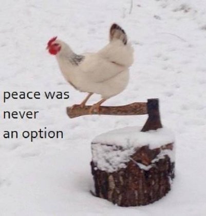 peace was never an option.jpg0.jpg