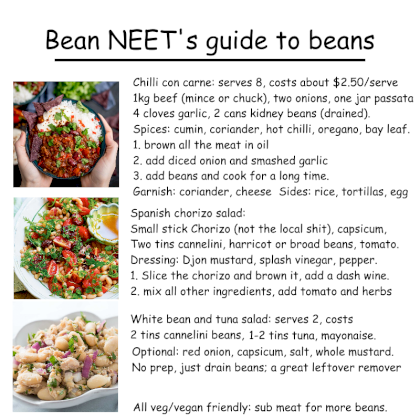 beanguide2.png