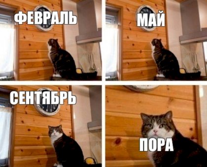 Вторжение-в-Украину-2022-политика-песочница-политоты-Россия-4774219.jpeg