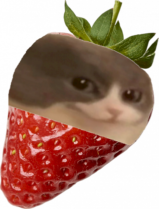 1648411346006.png