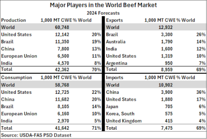 World Beef Market Major Players.png