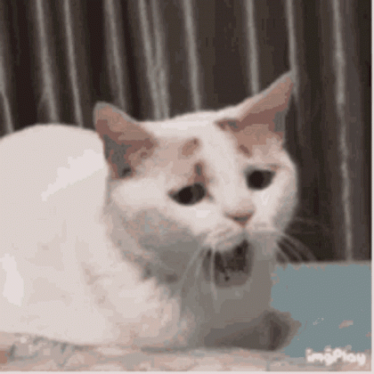 我還能堅持一會-.gif