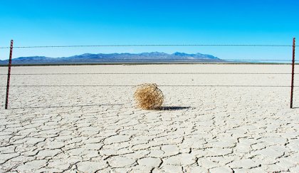 tumbleweed-caught-in-fence-two-column.jpg