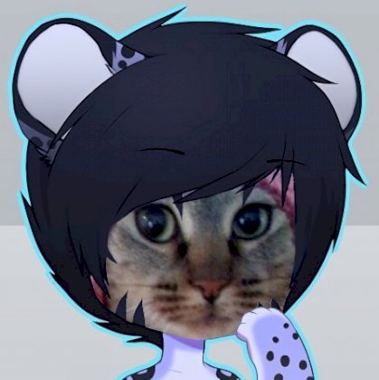 pard_cat.jpg