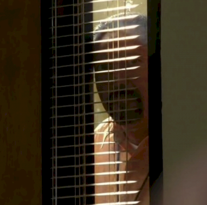 typ guckt durch fenster.png