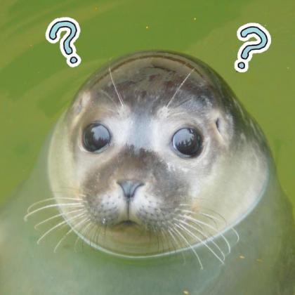 fragezeichen_otter.png