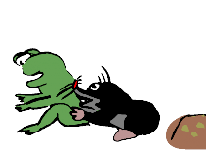 krtek5-small.png