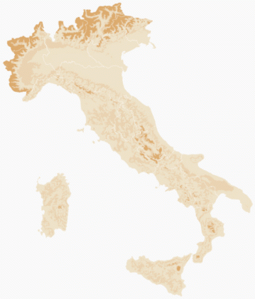 605e07647db5d718f324dfb4_Animation_Path_Arrows.gif