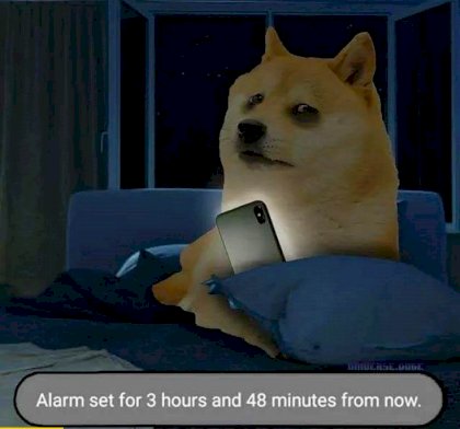 tired doge.jpg