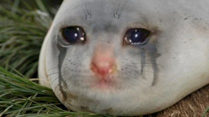 sad.jpg