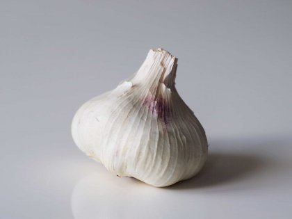 garlic_edited-scaled.jpg