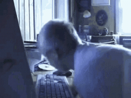 agk.gif