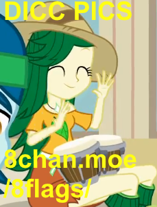 DICC PICS.png