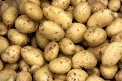 20150814185551-potatos-food-vegtable-chef.jpeg