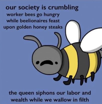 8fc0e66f141ed77924e0148964c43d6df4596a1fe6130bbd02ebe43c6c99408a.jpg
