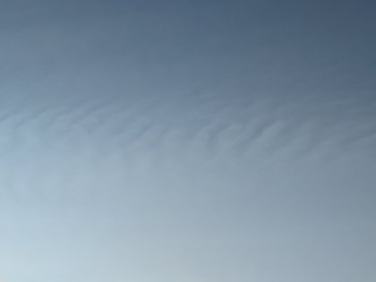 IMG_20240914_190247_036.jpg
